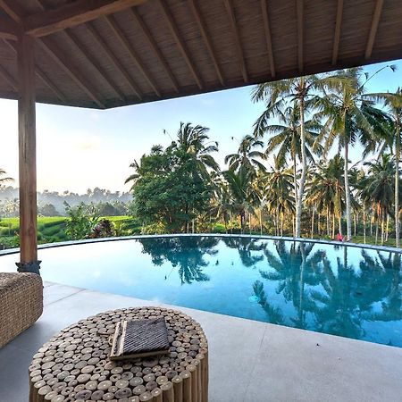 Puri Dajuma Terrace Eco Lodge & Spa Selemadeg  Ngoại thất bức ảnh