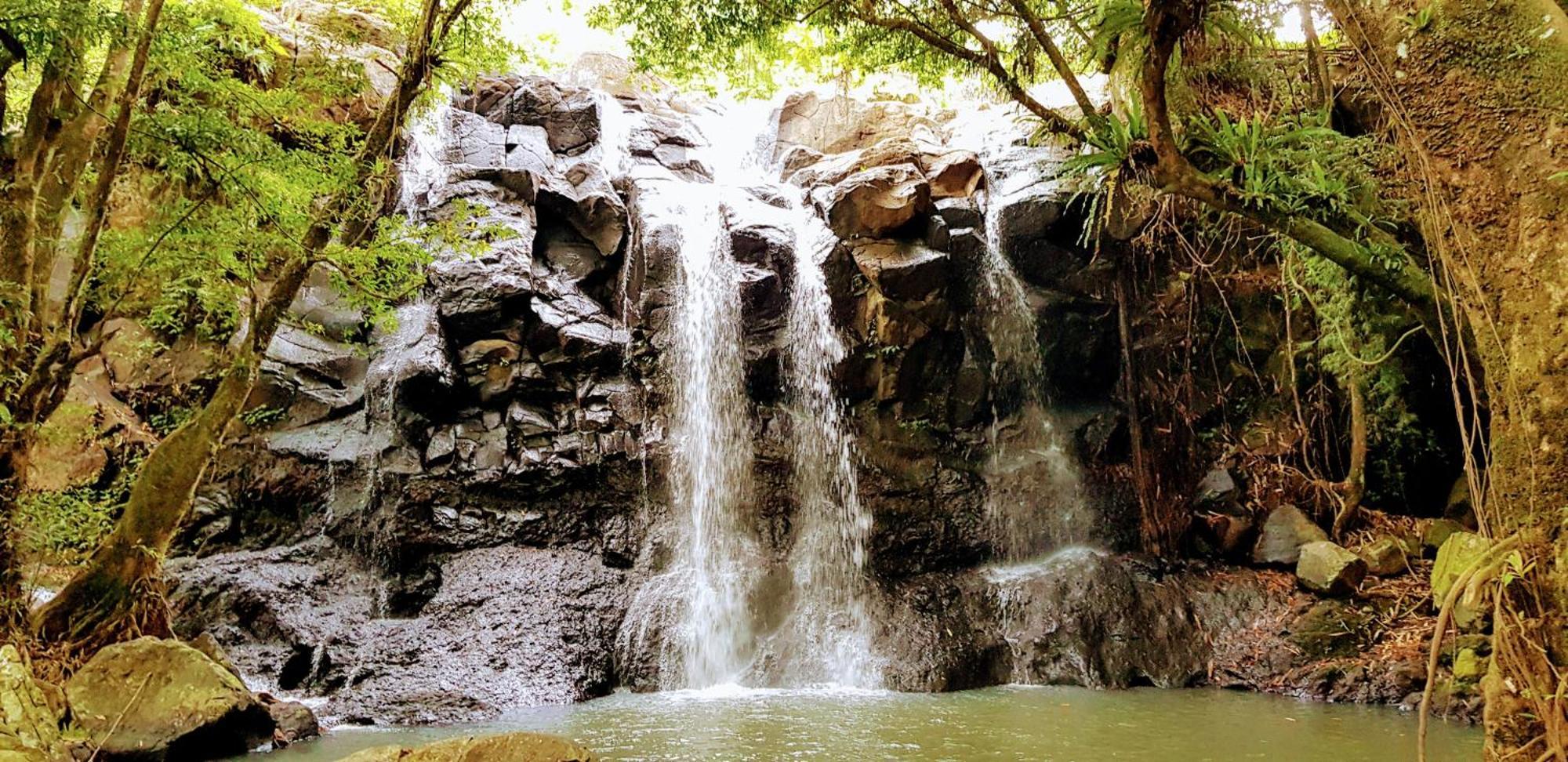 Puri Dajuma Terrace Eco Lodge & Spa Selemadeg  Ngoại thất bức ảnh