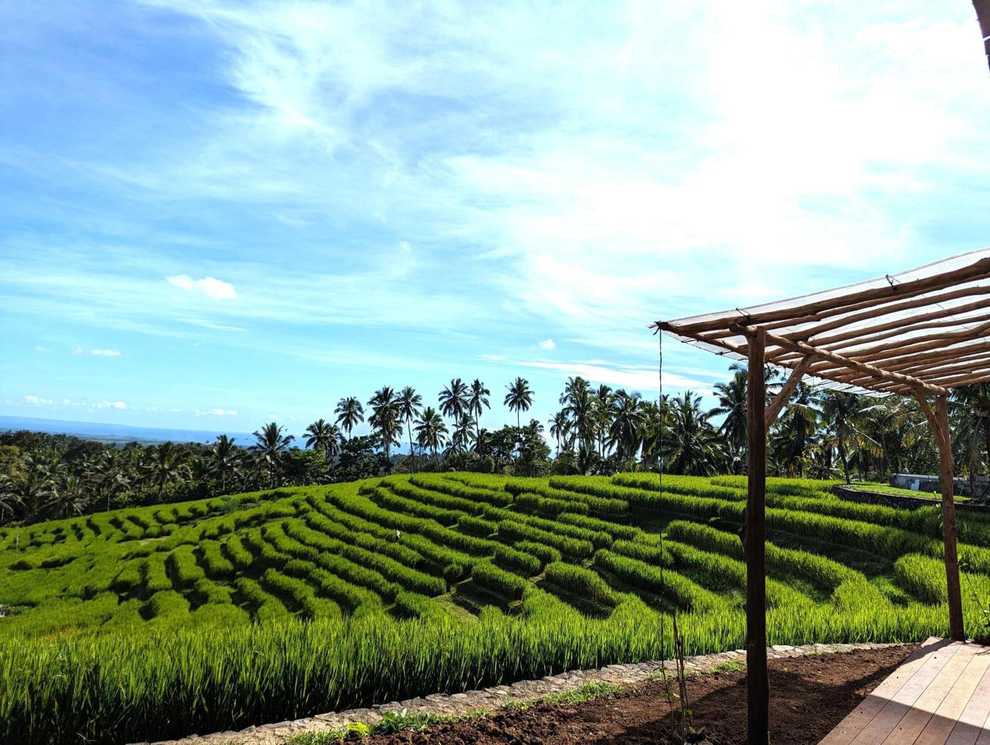 Puri Dajuma Terrace Eco Lodge & Spa Selemadeg  Ngoại thất bức ảnh