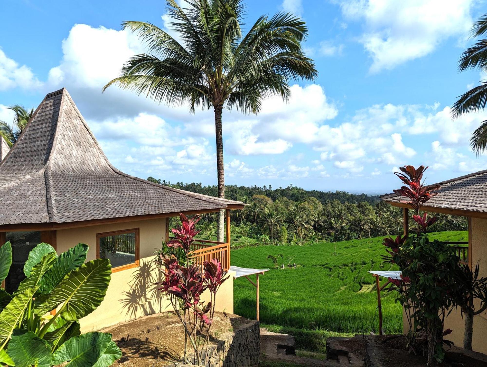 Puri Dajuma Terrace Eco Lodge & Spa Selemadeg  Ngoại thất bức ảnh