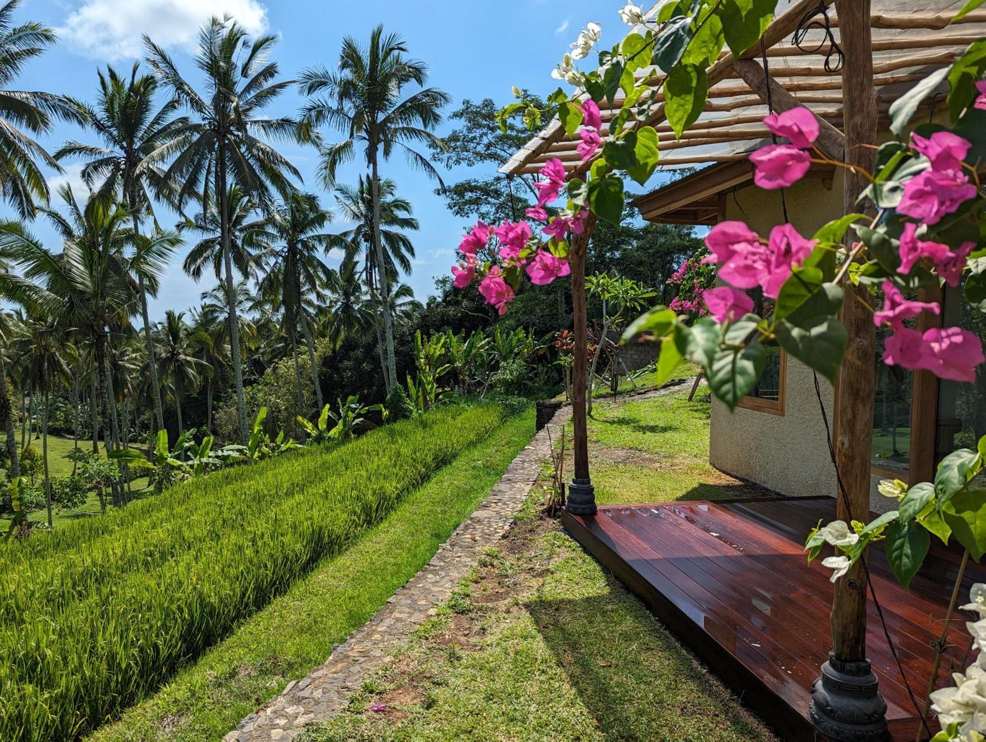 Puri Dajuma Terrace Eco Lodge & Spa Selemadeg  Ngoại thất bức ảnh
