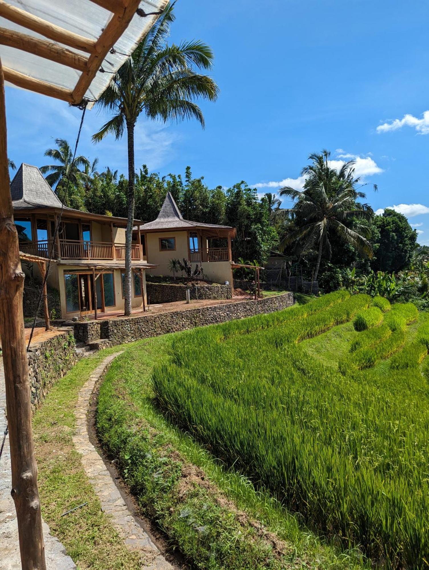 Puri Dajuma Terrace Eco Lodge & Spa Selemadeg  Ngoại thất bức ảnh